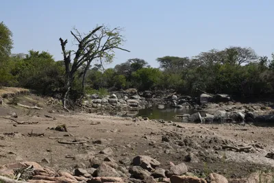 DSC_3485 (Large).JPG